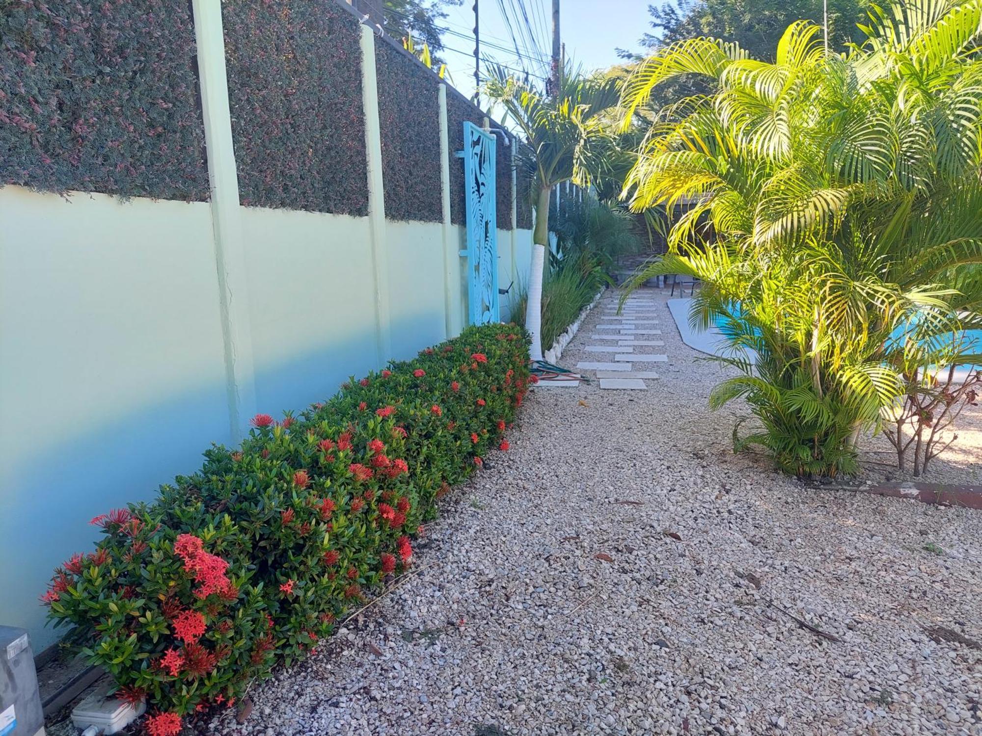 Hotel Carlota タマリンド エクステリア 写真